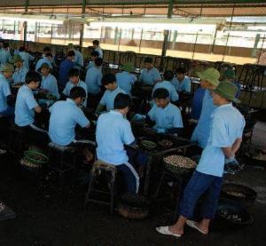 photo from the 2011 HRW report on Vietnam's so-called drug rehabilitation centers