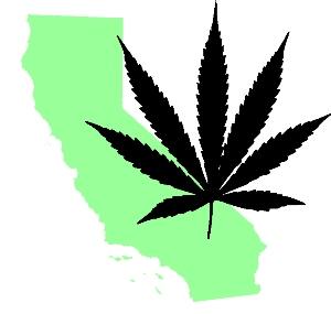 California_marijuana_template_11.jpg