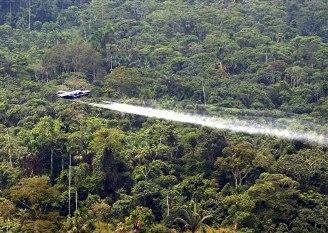 Aerial spraying of coca plants is on hold in Colombia after the FARC shot down two planes this fall. (wikimedia.org)