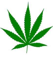 marijuana leag wiki_1.png
