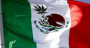 A marijuana legalization bill has been filed in Mexico as a Supreme Court deadline looms. (Creative Commons)